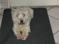 /album/photos/pour-site-2-1-jpg/